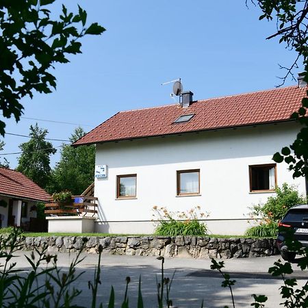 Guest House Family Dukic Раковица Екстер'єр фото