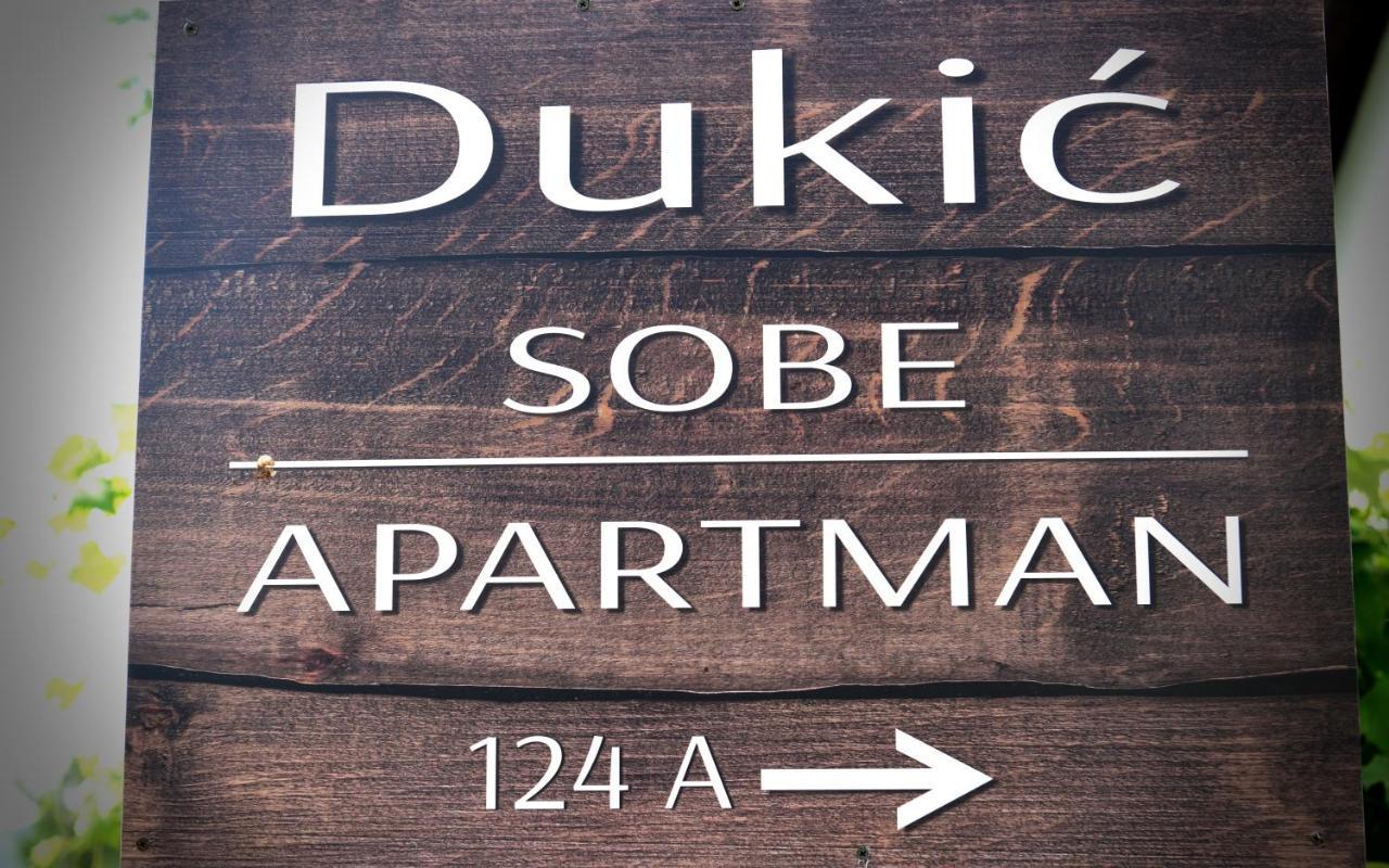 Guest House Family Dukic Раковица Екстер'єр фото