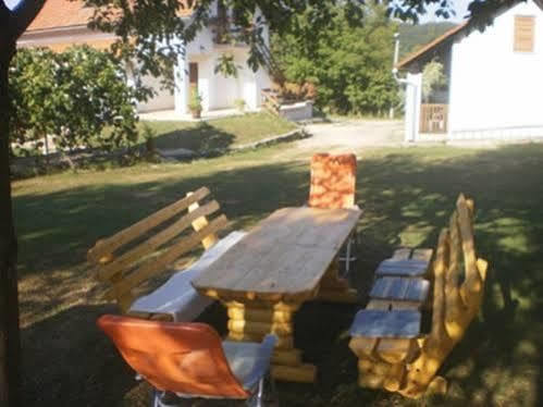 Guest House Family Dukic Раковица Екстер'єр фото