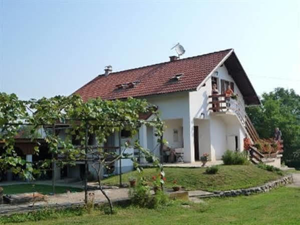 Guest House Family Dukic Раковица Екстер'єр фото